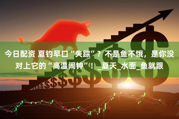 今日配资 夏钓早口“失踪”？不是鱼不饿，是你没对上它的“高温闹钟”！_夏天_水面_鱼就跟