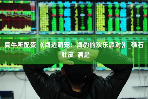 真牛所配资 《海边萌宠：海豹的欢乐派对》_礁石_肚皮_满是