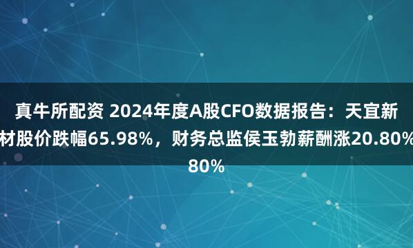 真牛所配资 2024年度A股CFO数据报告：天宜新材股价跌幅65.98%，财务总监侯玉勃薪酬涨20.80%