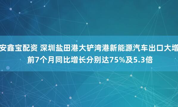 安鑫宝配资 深圳盐田港大铲湾港新能源汽车出口大增 前7个月同比增长分别达75%及5.3倍