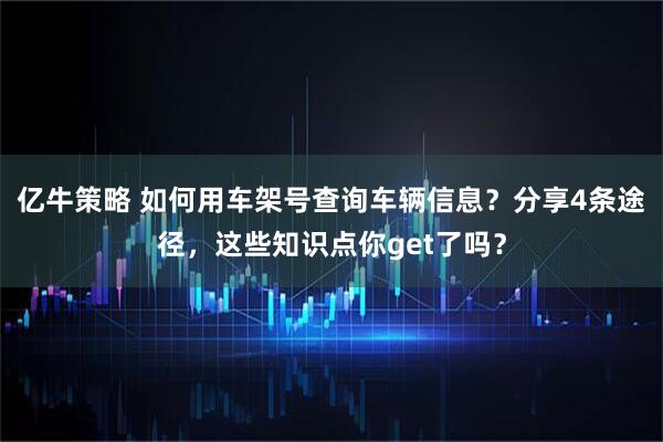 亿牛策略 如何用车架号查询车辆信息？分享4条途径，这些知识点你get了吗？