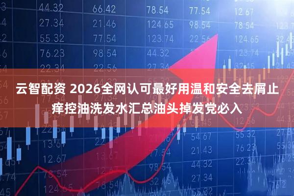 云智配资 2026全网认可最好用温和安全去屑止痒控油洗发水汇总油头掉发党必入